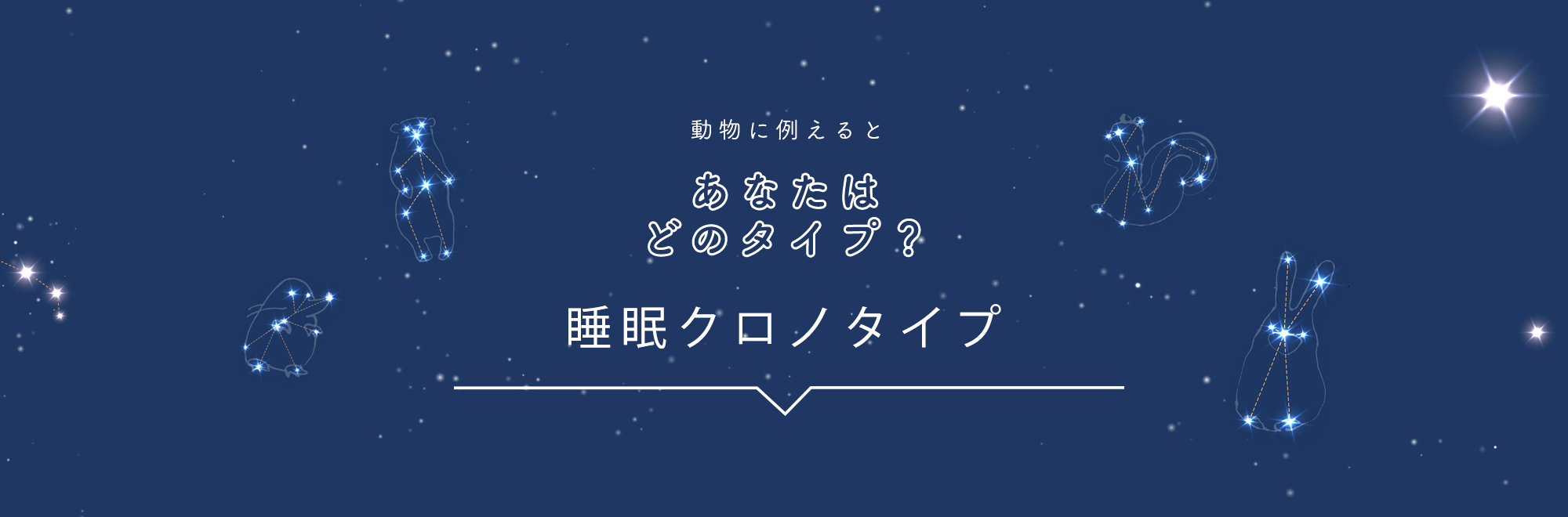 動物に例えるとあなたはどのタイプ？「睡眠クロノタイプ」